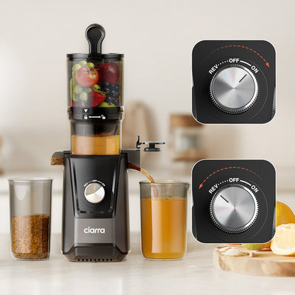 Extracteur de jus à pression à froid de 200 W
