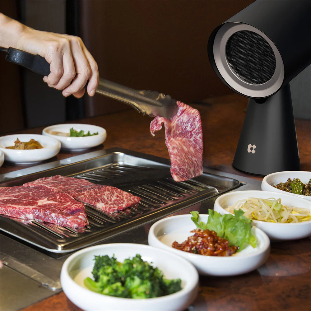 Purificateur d'air de cuisine portable