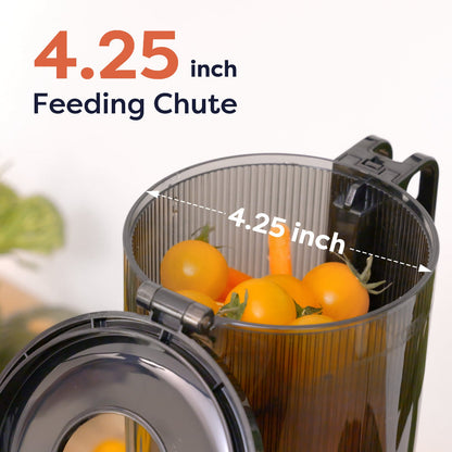 Extracteur de jus à pression à froid de 200 W