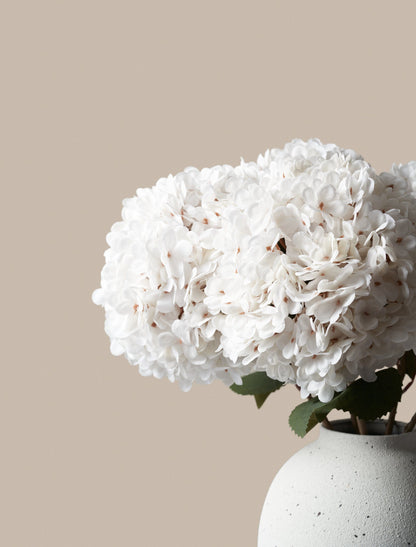 Hortensia décoratif élégant dans un vase en céramique