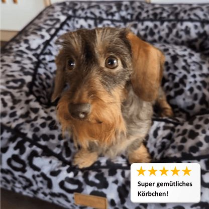 Panier pour chien Boise - Claudi