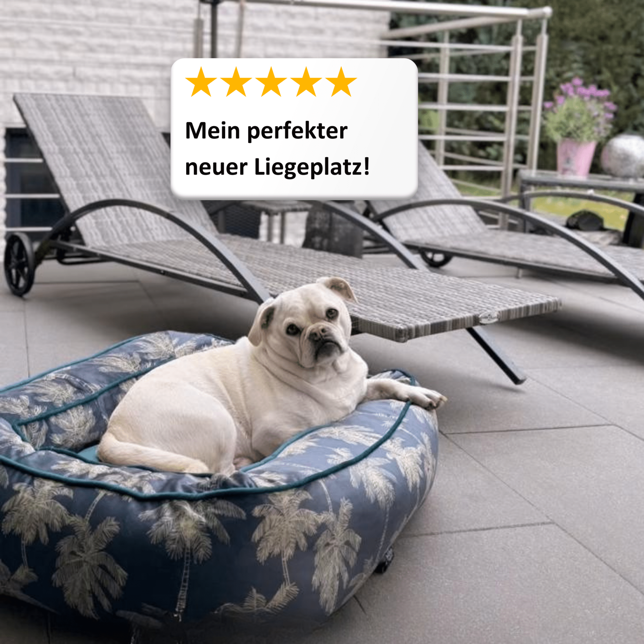 Lit pour chien Boise