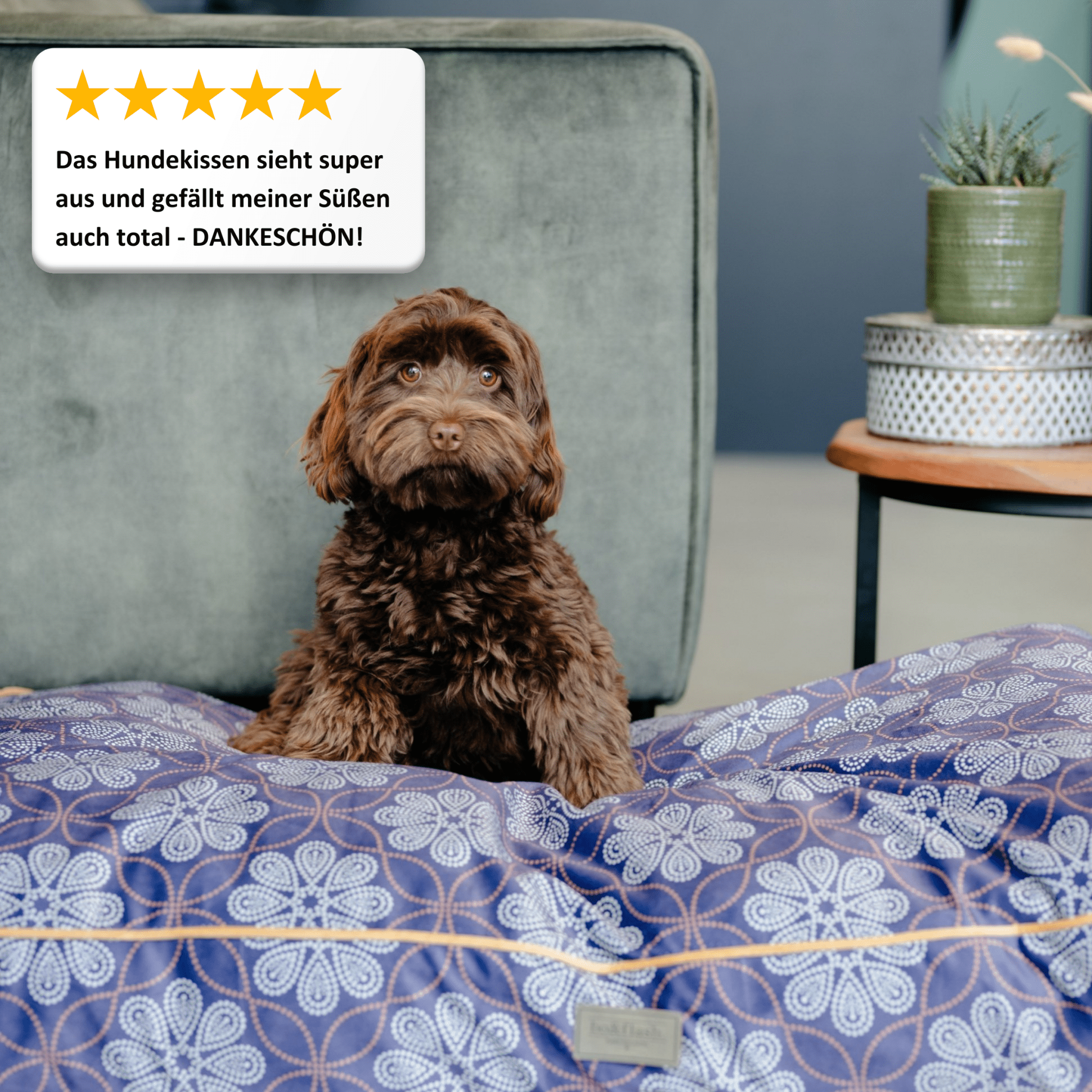 Coussin pour chien Madison