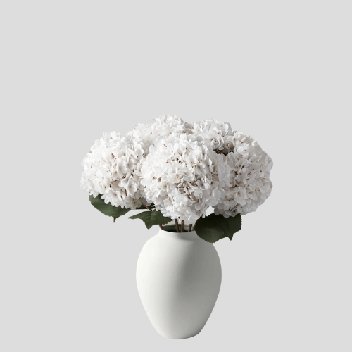 Hortensia décoratif élégant dans un vase en céramique