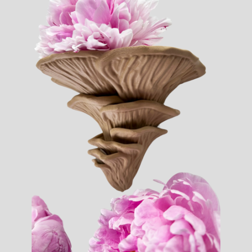 Étagère murale Flamingo