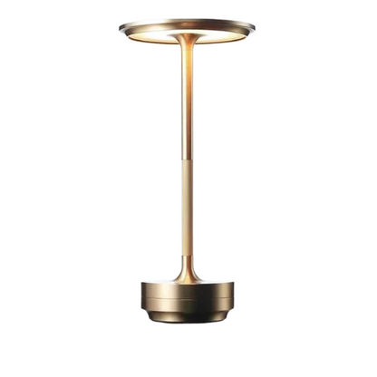 Sans fil et rechargeable
