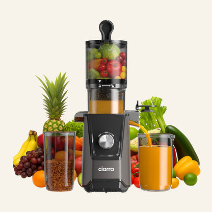 Extracteur de jus à pression à froid de 200 W
