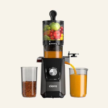 Extracteur de jus à pression à froid de 200 W