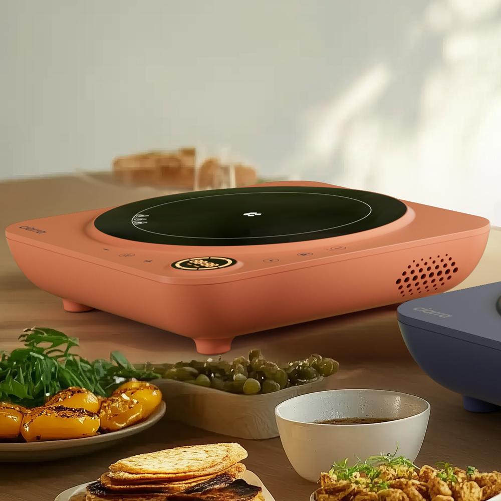 Plaque de cuisson à induction portable Donut