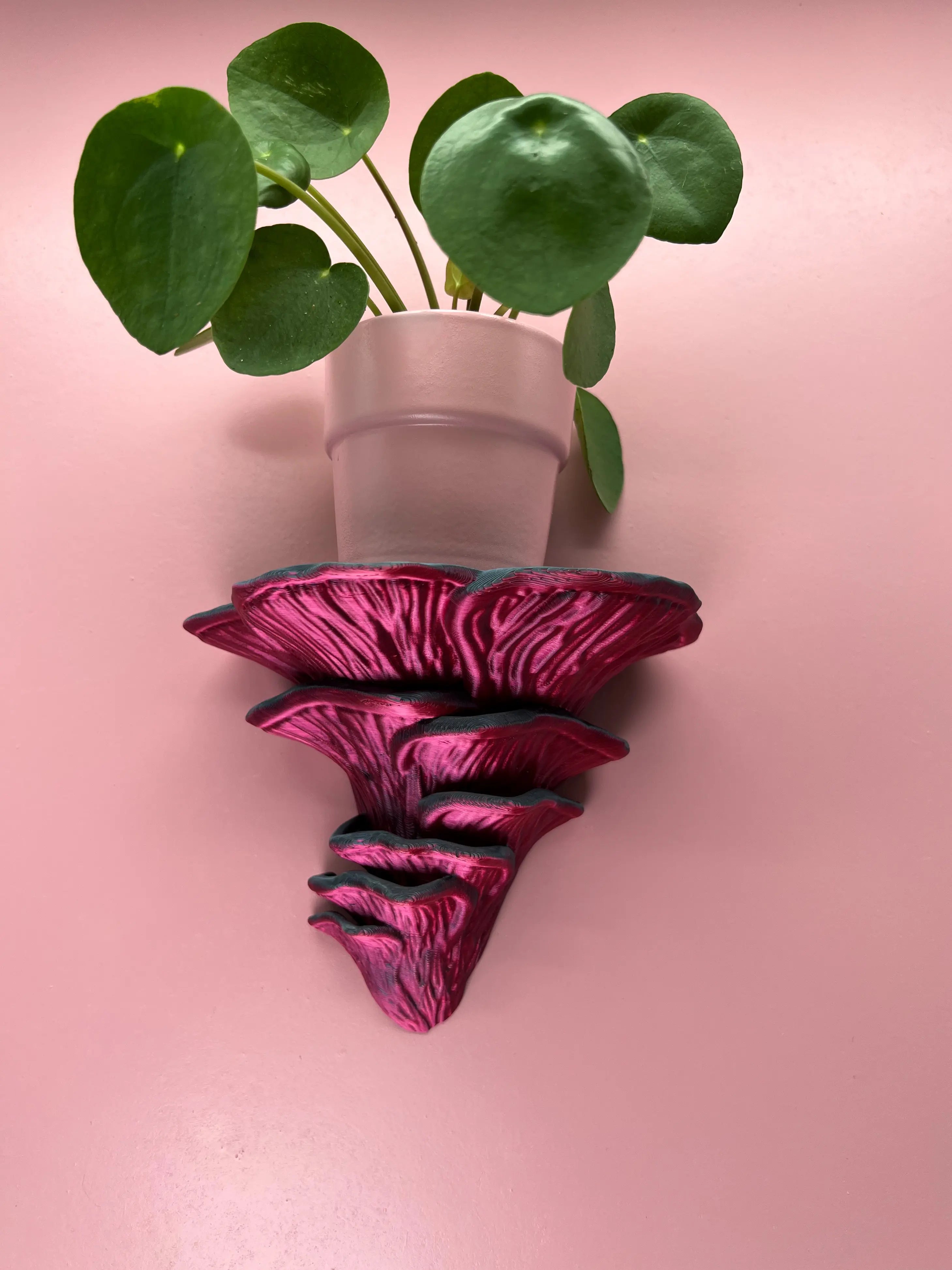 Étagère murale Flamingo