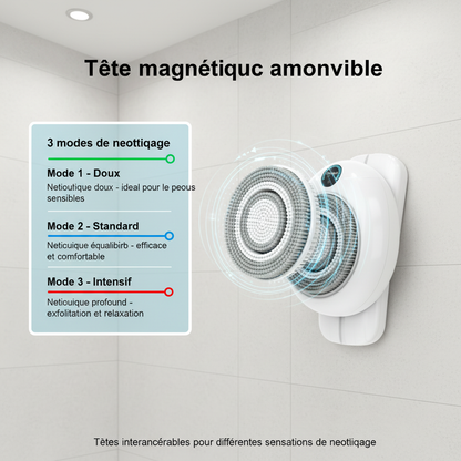 Brosse électrique pour le dos