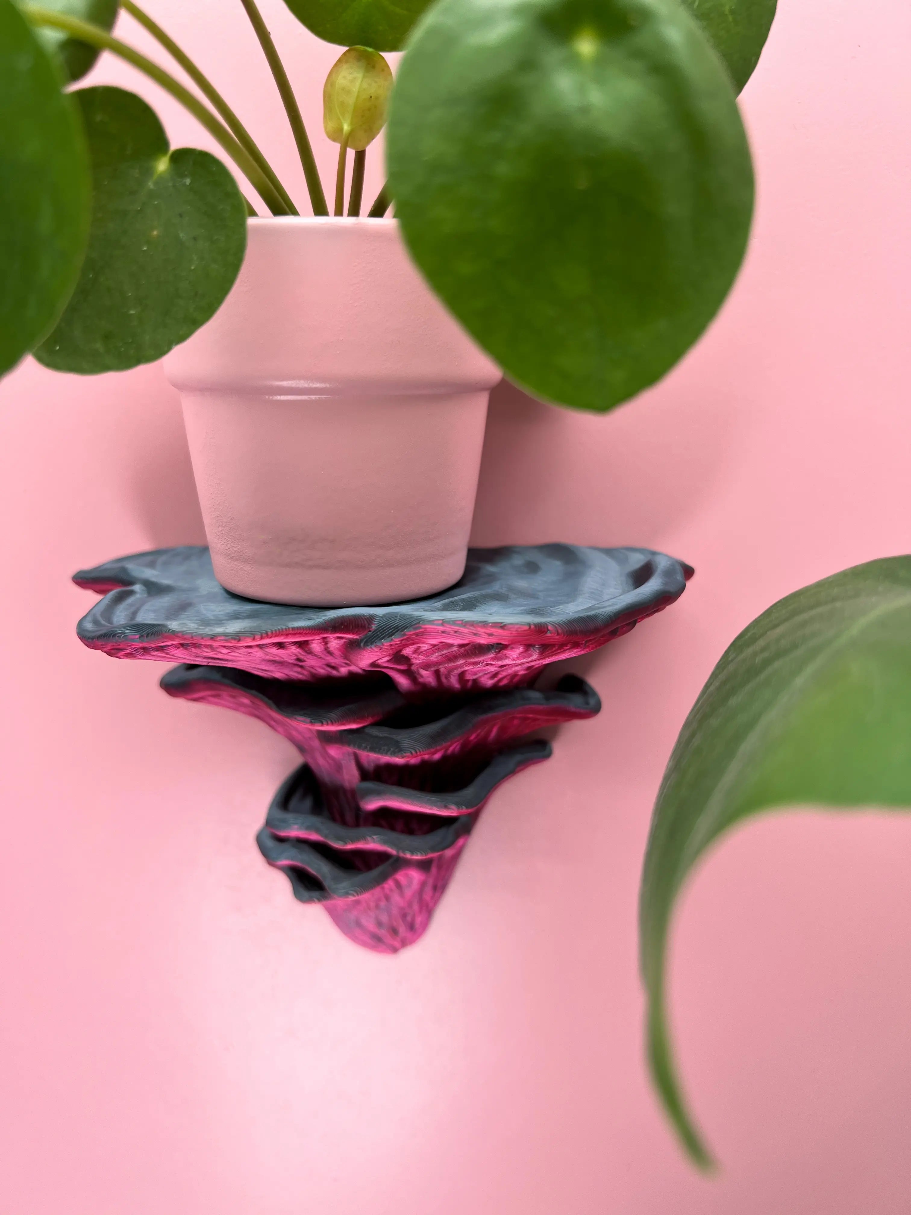 Étagère murale Flamingo